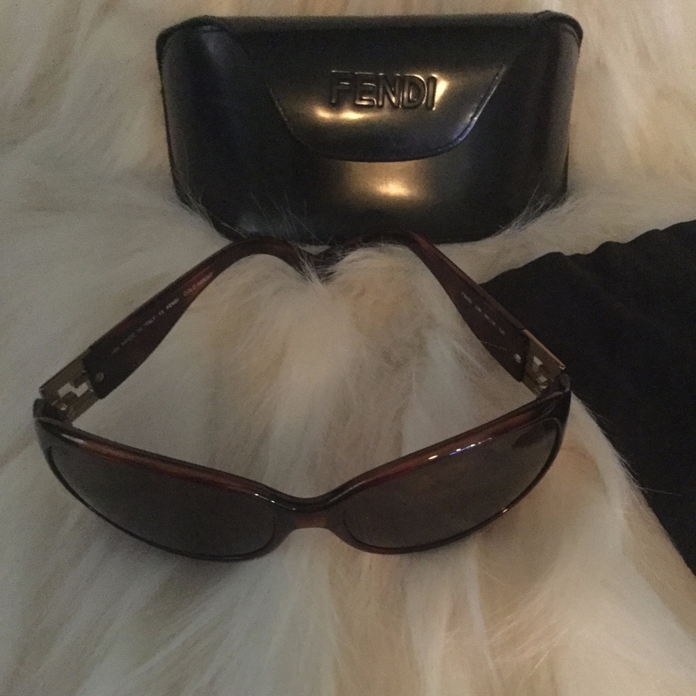 Fendi Sunglasses Cold Insert - image 3